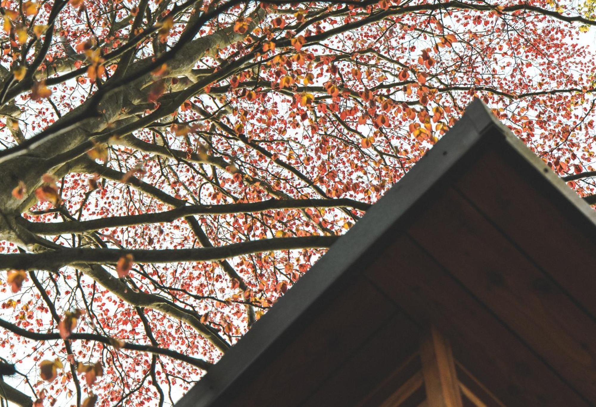 The Lodge, Burniston Holiday home
